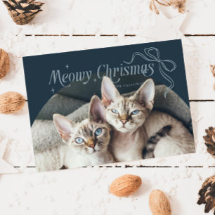 Cartes Pour Fêtes Annuelles Meowy Christmas Cat Photo Blue Holiday Card