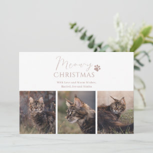 Cartes Pour Fêtes Annuelles Meowy Christmas Chat Photo Noël