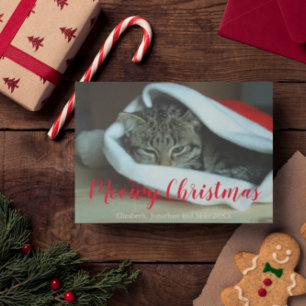 Cartes Pour Fêtes Annuelles Meowy Christmas Chat Photo Noël
