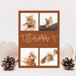 Cartes Pour Fêtes Annuelles Meowy Christmas Chat Photos Terracotta Noël