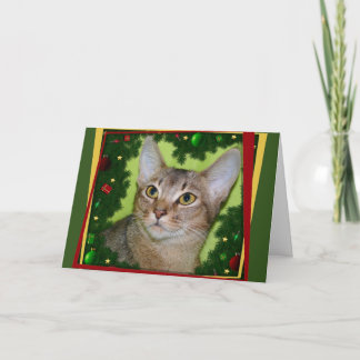 Cartes Pour Fêtes Annuelles Meowy Kismouse
