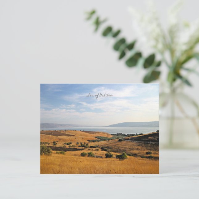 Cartes Pour Fêtes Annuelles Mer de Galilée (Debout devant)