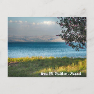 Cartes Pour Fêtes Annuelles Mer De Galilée, Israël