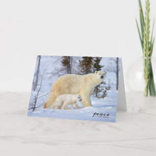 Cartes Pour Fêtes Annuelles Mère et petite fille d'ours polaires dans la tound