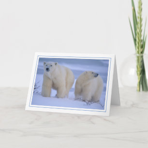 Cartes Pour Fêtes Annuelles Mère Ours Polaire avec Cub dans la neige