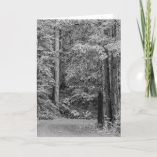 Cartes Pour Fêtes Annuelles Merry Adventures