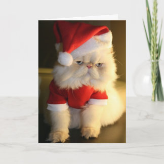Cartes Pour Fêtes Annuelles Merry CatMas