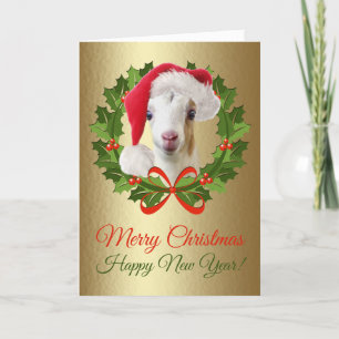 Cartes Pour Fêtes Annuelles Merry Christmas Bébé LaMancha Goat Kid Painting