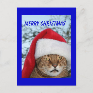 Cartes Pour Fêtes Annuelles MERRY CHRISTMAS Cat