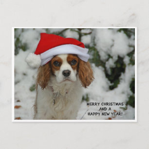 Cartes Pour Fêtes Annuelles Merry Christmas Charly