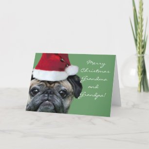 Cartes Pour Fêtes Annuelles Merry Christmas Grandma et Grandpa Pug card