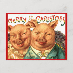 Cartes Pour Fêtes Annuelles Merry Christmas Pig Couple Vintage Postcard Art