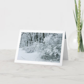 Cartes Pour Fêtes Annuelles Merveilleux Pays d'Hiver - Feuillage enneigé