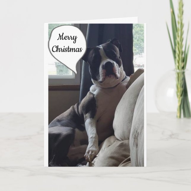 CARTES POUR FÊTES ANNUELLES MERVEILLEUX TEMPS DE L'ANNÉE **MERRY NOËL" (Devant)
