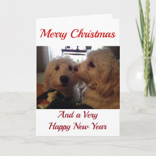 CARTES POUR FÊTES ANNUELLES MES **POMMES DE NOËL** MEILLEURS NOËL JAMAIS