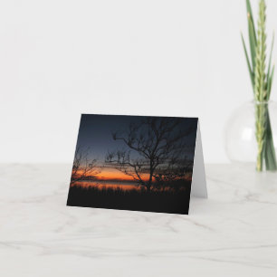 Cartes Pour Fêtes Annuelles Message De Sympathie Avec Coucher De Soleil, Arbre