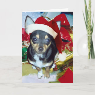Cartes Pour Fêtes Annuelles Mignon Père Noël Chihuahua AngelPearlGirl