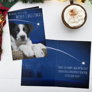 Cartes Pour Fêtes Annuelles Mignonette Noir Blanc Chiot Starry Ciel Personnali