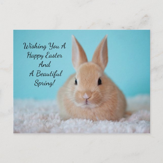 Cartes Pour Fêtes Annuelles Mignonne Bunny Pâques (Devant)