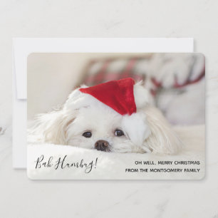 Cartes Pour Fêtes Annuelles Mignonne Chien Blanc Noir Bah Humbug