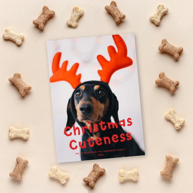 Cartes Pour Fêtes Annuelles Mignonne de Noël Mignonne Funky Red Holiday Photo (Créateur téléchargé)