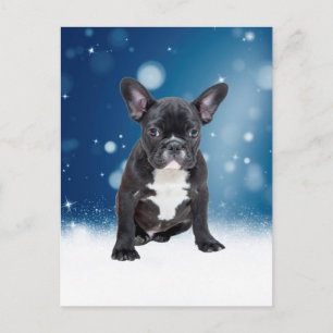 Cartes Pour Fêtes Annuelles Mignonne French Bulldog Etoiles de neige Bleu Noël
