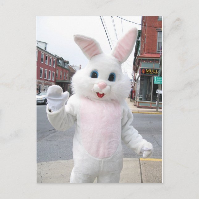 Cartes Pour Fêtes Annuelles Mignonne Lapin de Pâques Animal Paix Aimer Destiné (Devant)
