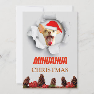 Cartes Pour Fêtes Annuelles Mihuahua Christmas, Chihuahua with santa hat