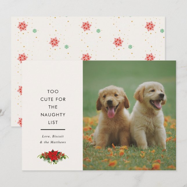 Cartes Pour Fêtes Annuelles Mini citation mignonne pour photo de Noël avec ani (Devant / Derrière)
