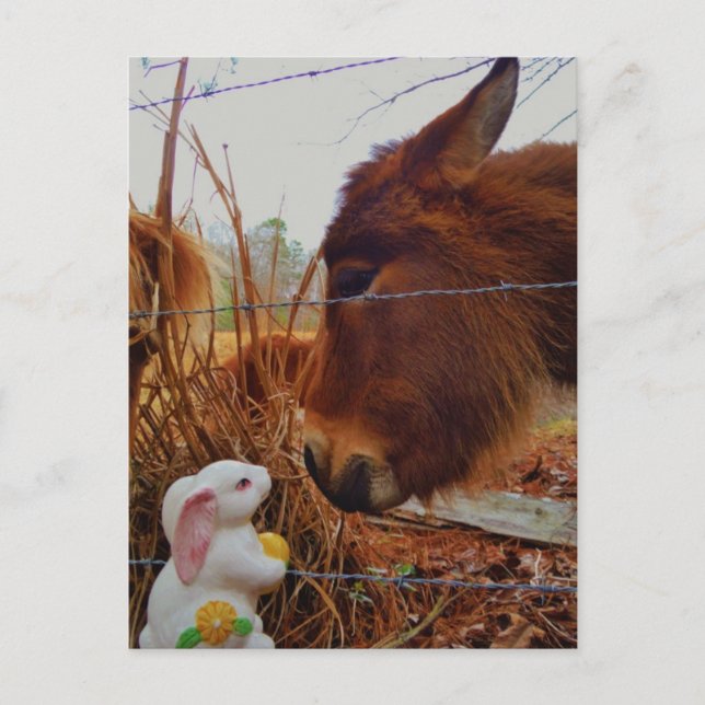 Cartes Pour Fêtes Annuelles Miniature cheval Brown et lapin de Pâques (Devant)