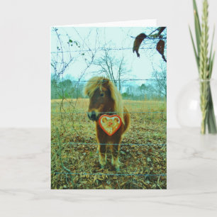 Cartes Pour Fêtes Annuelles Miniature cheval Brown Valentine Heart