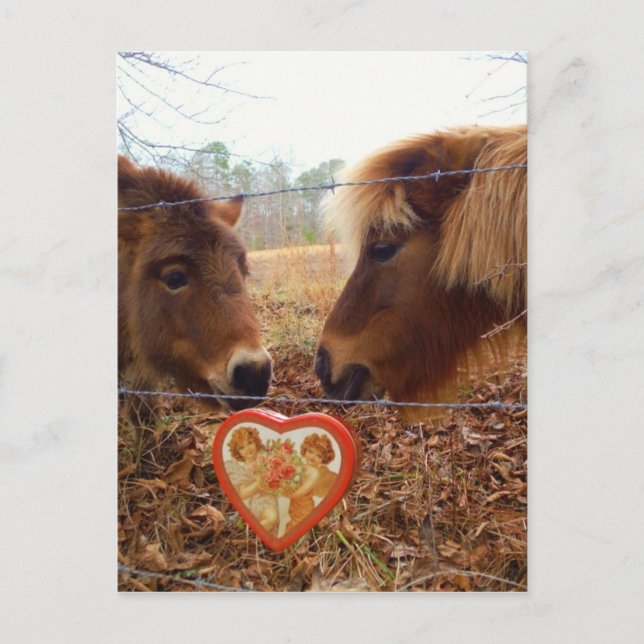 Cartes Pour Fêtes Annuelles Miniature Donkey & Horse Valentine Heart (Devant)