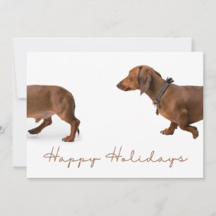 Cartes Pour Fêtes Annuelles MInimalist Dachshund Christmas Joyeux