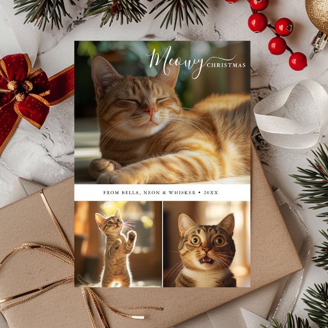 Cartes Pour Fêtes Annuelles Minuscule chat Meowy Noël 3 Photo Collage (Créateur téléchargé)