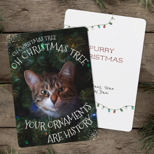 Cartes Pour Fêtes Annuelles Mischievous Kitty Funny Chat Oh Arbre de Noël