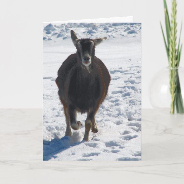 Cartes Pour Fêtes Annuelles Misha S'Est Amusée À Noël De Neige (Devant)