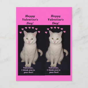 Cartes Pour Fêtes Annuelles Missy Signet Valentines