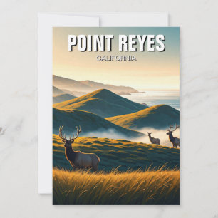 Cartes Pour Fêtes Annuelles Misty Point Reyes National Seashore Elk