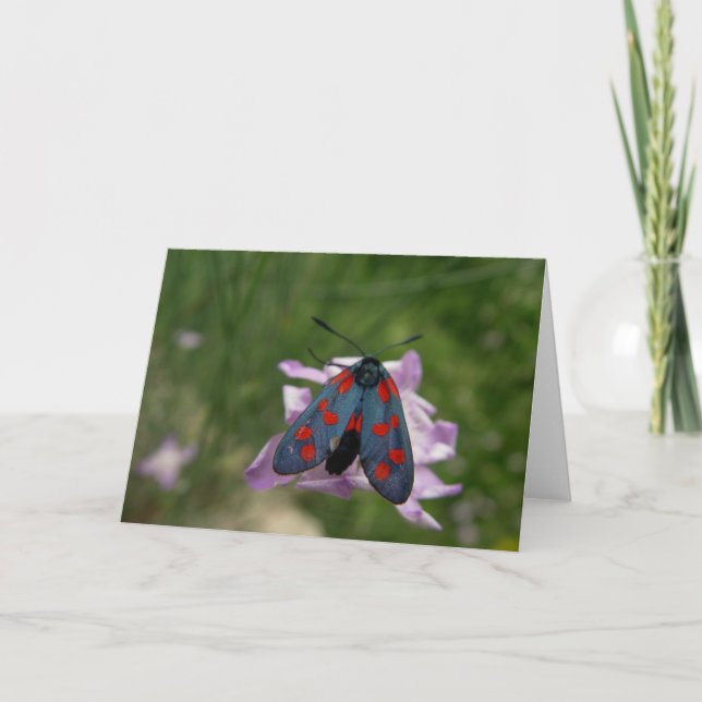 Cartes Pour Fêtes Annuelles Mite de Valentine (Devant)