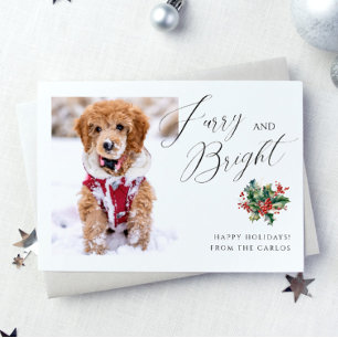 Cartes Pour Fêtes Annuelles Mobilier moderne et lumineux   Pet Photo Christmas