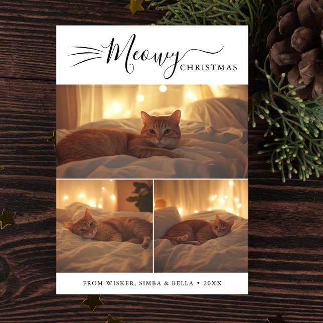 Cartes Pour Fêtes Annuelles Moderne 3 Photo Meowen Noël mignon Chat drôle (Créateur téléchargé)