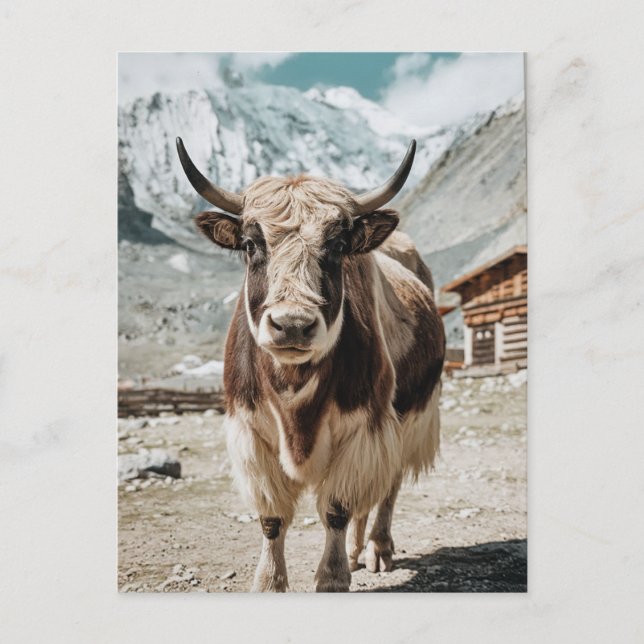 Cartes Pour Fêtes Annuelles Moderne animal de yak tendance (Devant)