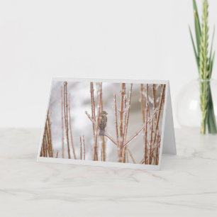 Cartes Pour Fêtes Annuelles Moineau animal d'oiseau de Noël sur une branche
