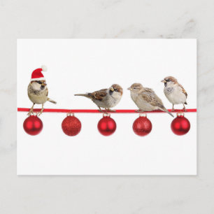 Cartes Pour Fêtes Annuelles Moineaux d'oiseaux de Noël