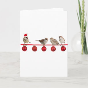 Cartes Pour Fêtes Annuelles Moineaux d'oiseaux de Noël