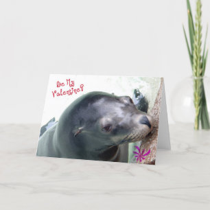 Cartes Pour Fêtes Annuelles Mon phoque Valentine