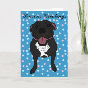 Cartes Pour Fêtes Annuelles Monty le Staffordshire bull terrier