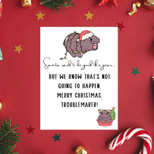 Cartes Pour Fêtes Annuelles Moo Deng Joyeux Noël Drôle Citations Pour Amis