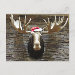 Cartes Pour Fêtes Annuelles Moose de Noël