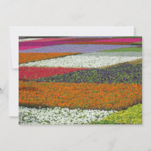 Cartes Pour Fêtes Annuelles Moquette à fleurs